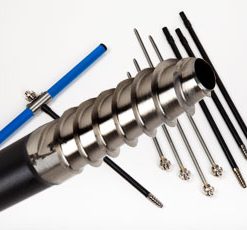 Lấy mẫu thân cây